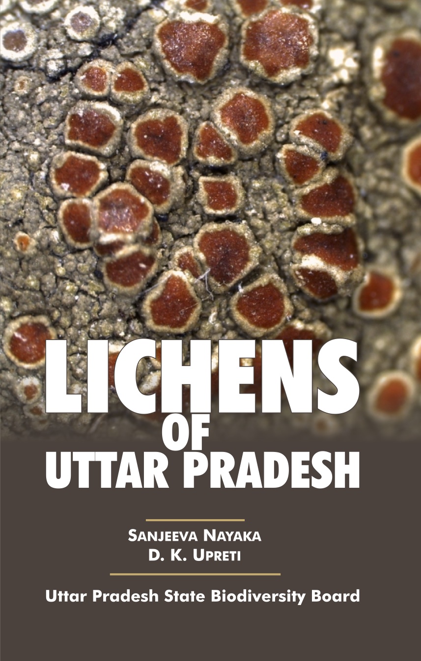 Lichens of Uttar Pradesh